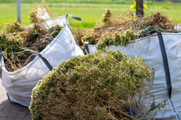 Best Local Junk Hauling  in Ashland, PA